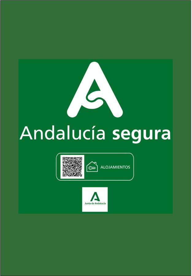 Holidays2malaga Sebastian Souviron High Speed Wifi Apartament